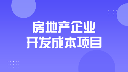 房地產(chǎn)企業(yè)開發(fā)成本項目