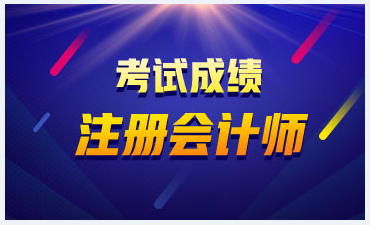 新疆2020注冊(cè)會(huì)計(jì)師成績查詢時(shí)間 你了解嗎？