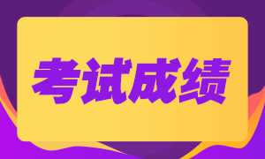 2020年鶴壁CPA成績(jī)查詢時(shí)間