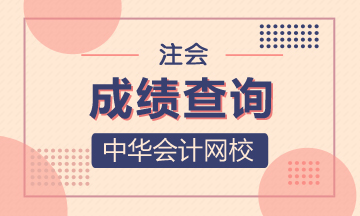 2020海南注冊會計師成績查詢相關(guān)信息分享