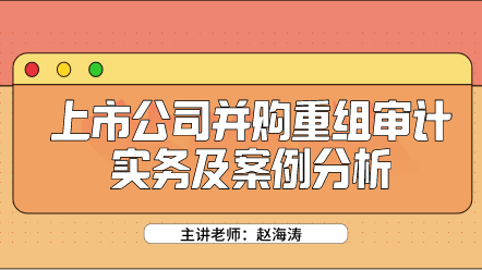 上市公司并購(gòu)重組審計(jì)實(shí)務(wù)及案例分析