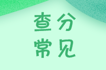 廣西2020年中級(jí)會(huì)計(jì)師考試成績(jī)查詢時(shí)間公布了嗎？