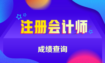 2020福建注冊會計師成績查詢時間 你了解了嗎？