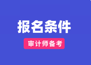 山東2020國際審計師報考條件及時間？