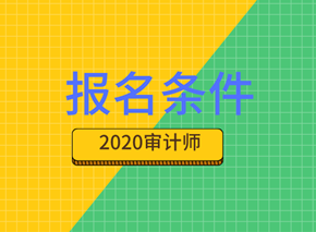 2020年國際內(nèi)部審計(jì)師報(bào)考條件都有什么要求？