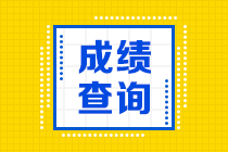 四川省高級經(jīng)濟師2020年成績查詢網(wǎng)址