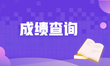 廣西2020年高級(jí)經(jīng)濟(jì)師成績查詢網(wǎng)址？查詢時(shí)間？