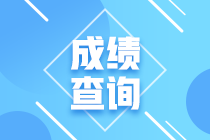 您清楚河南省2020年高級(jí)經(jīng)濟(jì)師成績(jī)查詢方式嗎？