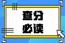 2020中級(jí)會(huì)計(jì)職稱(chēng)查分總攻略：查分前中后都得注意點(diǎn)啥？