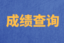 上海2020年資產(chǎn)評(píng)估師考試成績(jī)查詢流程確定了嗎？