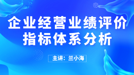 企業(yè)經(jīng)營業(yè)績評價指標體系分析 (1)