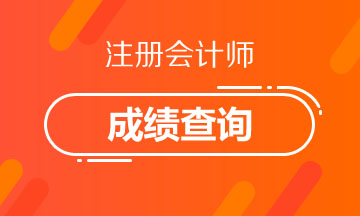 廣東廣州2020年注冊(cè)會(huì)計(jì)師成績(jī)查詢(xún)時(shí)間確定了嗎？