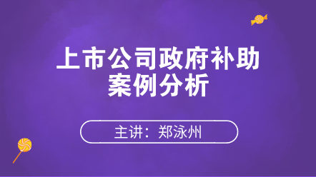 上市公司政府補助案例分析