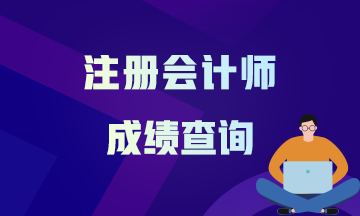 海南?？?020年注冊會計師成績查詢時間來嘍！