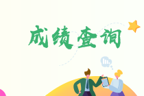 廣西中級(jí)會(huì)計(jì)師考試成績查詢2020入口