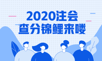 2020年注會(huì)成績(jī)查詢錦鯉報(bào)道！總有一款適合你~