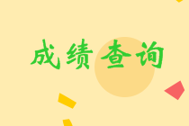 四川眉山中級成績查詢2020入口在哪里？