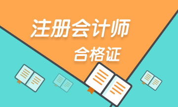 2020年河北CPA專業(yè)階段合格證書下載已開通