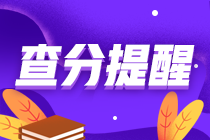 ACCA成績查詢時間在什么時候？