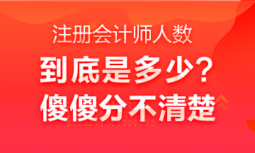 中國注冊會計師行業(yè)全國從業(yè)人員超40萬人？不是二十多萬嗎？