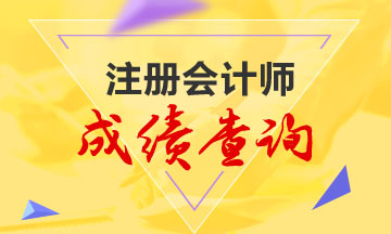 2020年廣東注冊(cè)會(huì)計(jì)師成績(jī)查詢(xún)注意事項(xiàng)