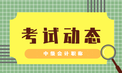 安徽馬鞍山會(huì)計(jì)中級(jí)考試時(shí)間2020的參考一下？