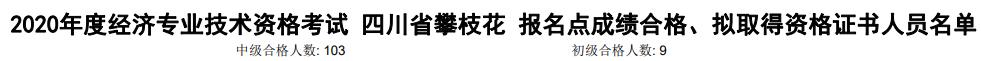 攀枝花2020年初中級經(jīng)濟(jì)師考試合格人數(shù)