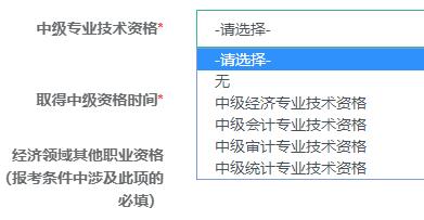 中級(jí)專業(yè)技術(shù)資格