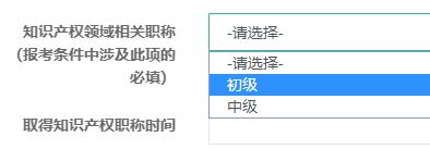 知識(shí)產(chǎn)權(quán)領(lǐng)域相關(guān)職稱