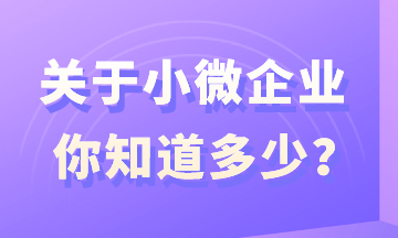 關(guān)于小微企業(yè)，你知道多少？