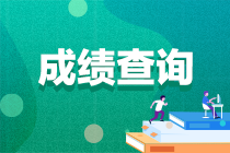 2022年重慶初級會計查分官網(wǎng)你知道嗎？