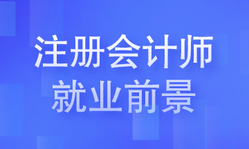 CPA考試就業(yè)前景大揭秘！會(huì)計(jì)事務(wù)所+跨國公司...