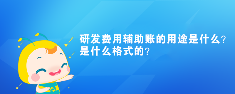 研發(fā)費(fèi)用輔助賬的用途是什么？是什么格式的？