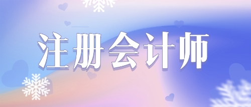 2022年注冊(cè)會(huì)計(jì)師考試《財(cái)管》練習(xí)題精選（九）