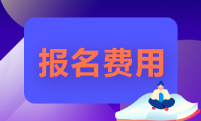 湖南省2022年的初級(jí)會(huì)計(jì)師報(bào)名費(fèi)多少錢？