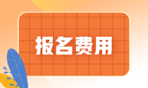 海南省2022年初級會計報名費(fèi)是多少錢？