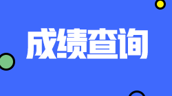 西藏2021注冊會計師考試成績查詢?nèi)肟?速看！