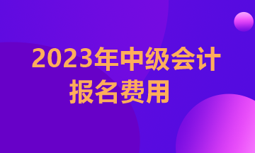 江蘇2023年中級(jí)會(huì)計(jì)職稱考試報(bào)名費(fèi)用多少？