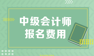 中級會計報名費(fèi)是多少?