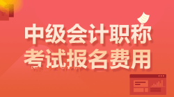 中級會(huì)計(jì)報(bào)名費(fèi)用