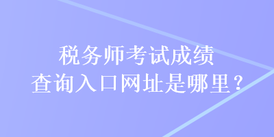 稅務(wù)師考試成績(jī)查詢?nèi)肟诰W(wǎng)址是哪里？