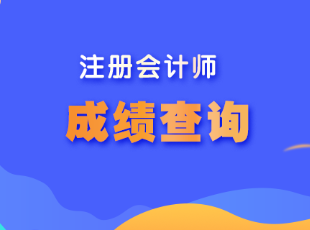 注會(huì)考試成績什么時(shí)候出？