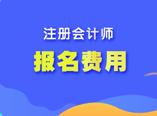 注冊(cè)會(huì)計(jì)師報(bào)名考試費(fèi)用一般多少錢(qián)？