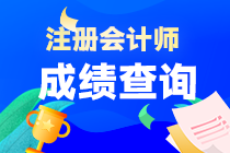 山東省注冊(cè)會(huì)計(jì)師考試成績(jī)什么時(shí)候出？