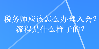 稅務(wù)師應(yīng)該怎么辦理入會？流程是什么樣子的？