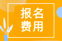 注冊(cè)會(huì)計(jì)師報(bào)名費(fèi)用2023年是多少？