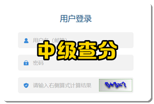 中級成績查詢
