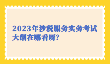 2023年涉稅服務(wù)實(shí)務(wù)考試大綱在哪看呀？