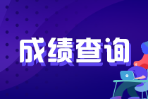 注冊(cè)會(huì)計(jì)師考試成績(jī)什么時(shí)候可以查到？