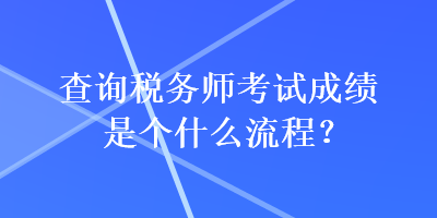 查詢(xún)稅務(wù)師考試成績(jī)是個(gè)什么流程？